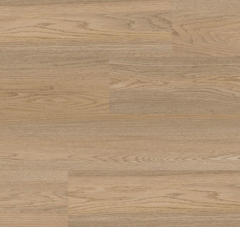 Neutral Beige