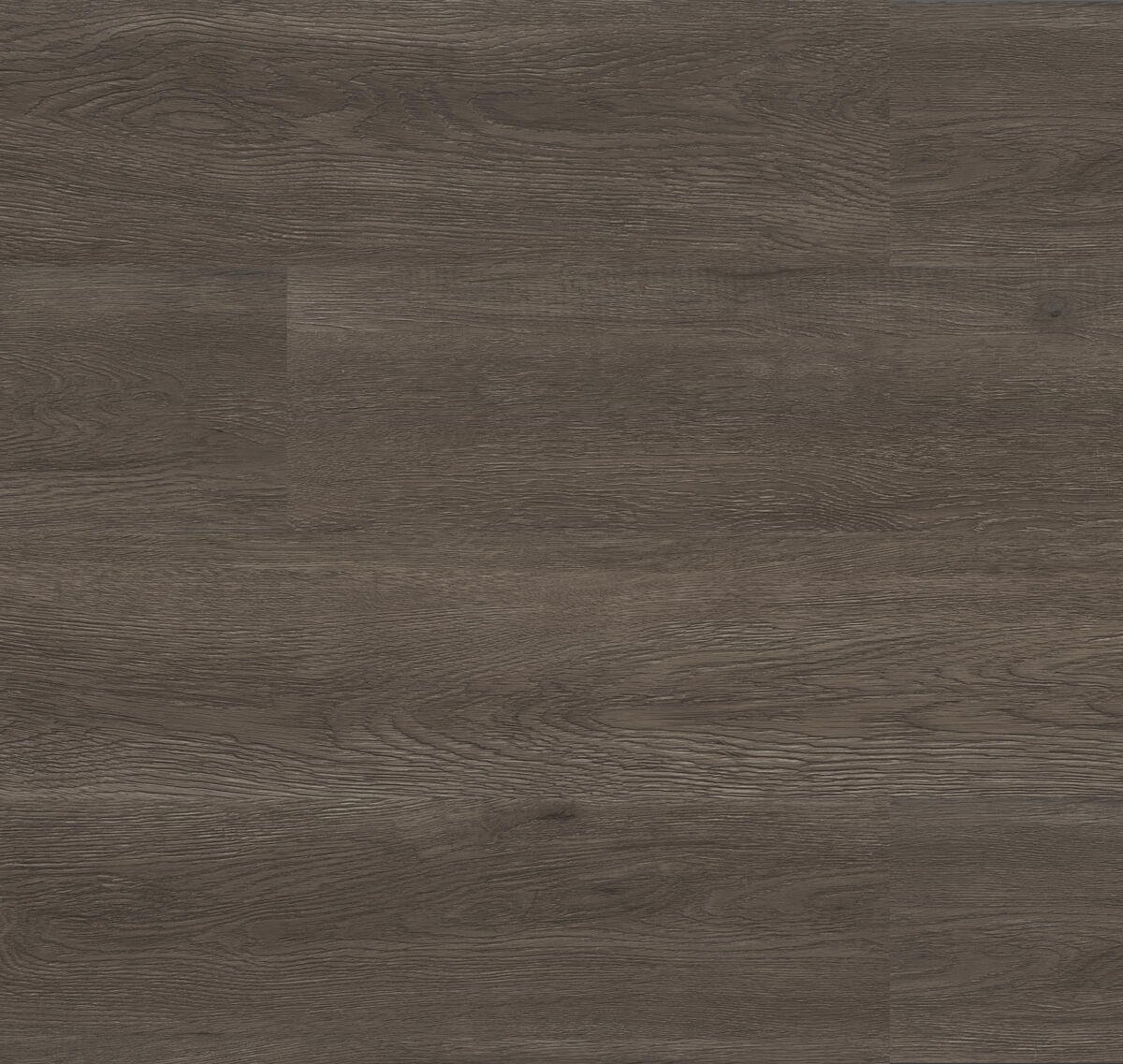 Cape Cod Grey