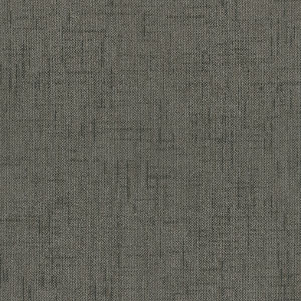 Dapple Grey