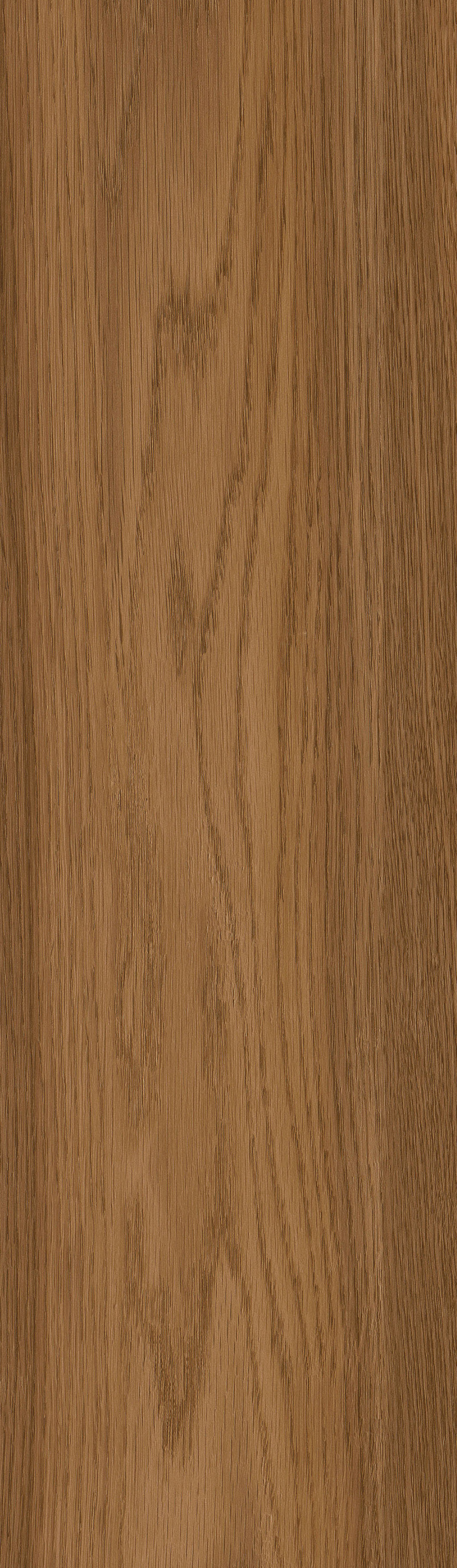 Harvest Oak