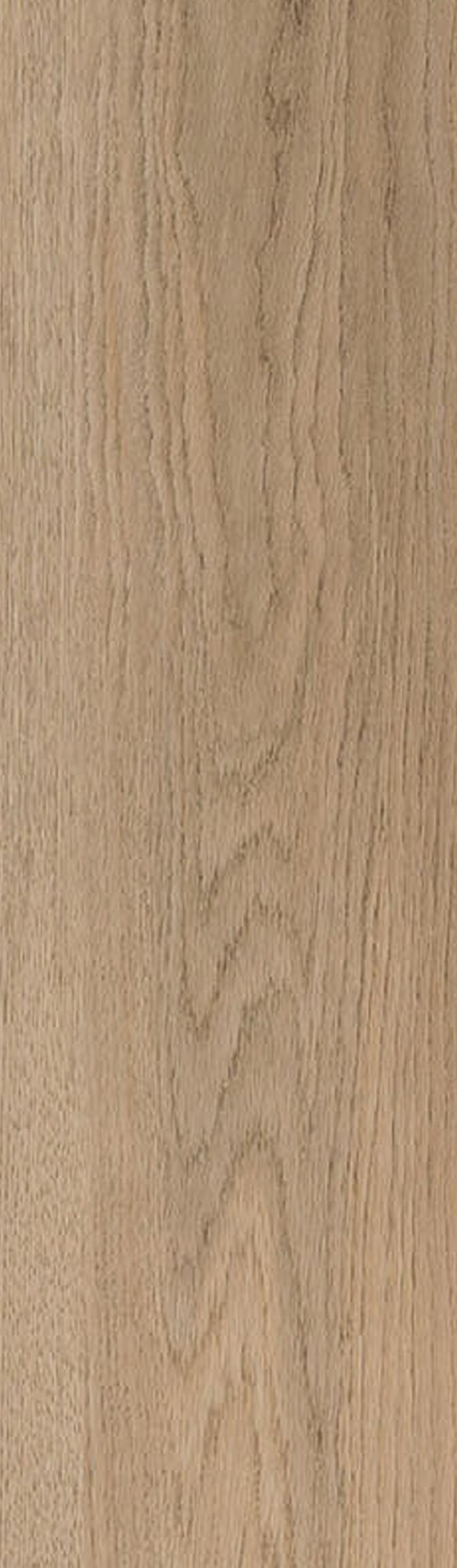 Neutral Beige