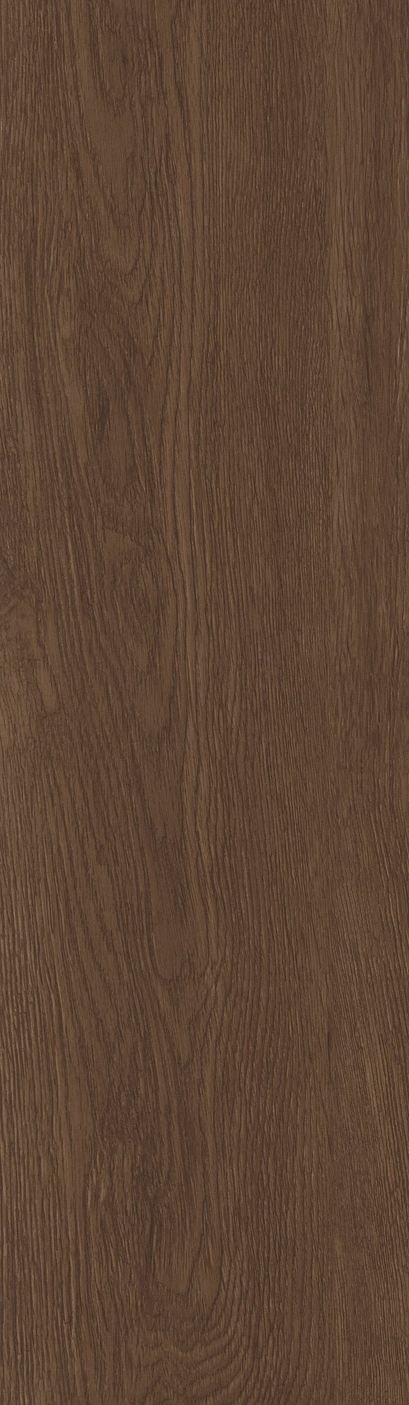 Oak Barrel