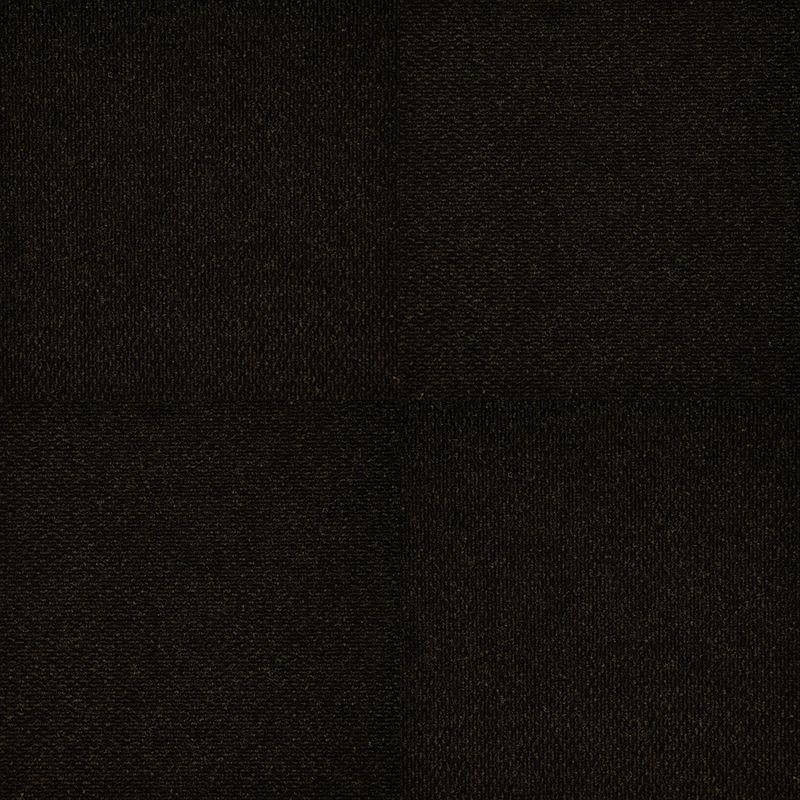 Black Shadow