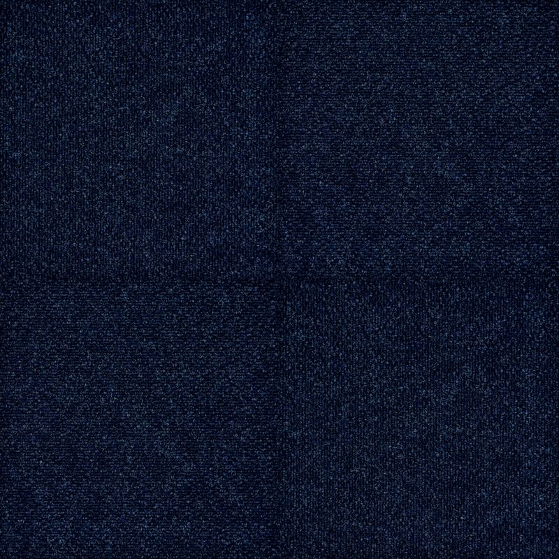 Midnight Sky